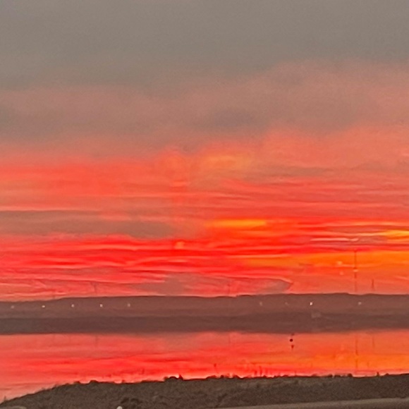 Meet your Posher, Vince - Picture 2 of 2